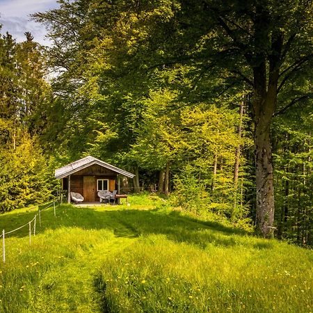 Vorderreithbauer Apartment Hof bei Salzburg Luaran gambar