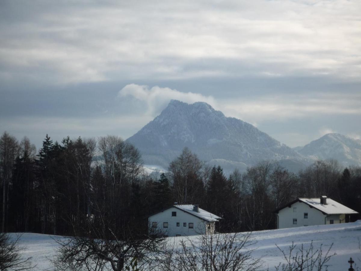 Vorderreithbauer Apartment Hof bei Salzburg Luaran gambar