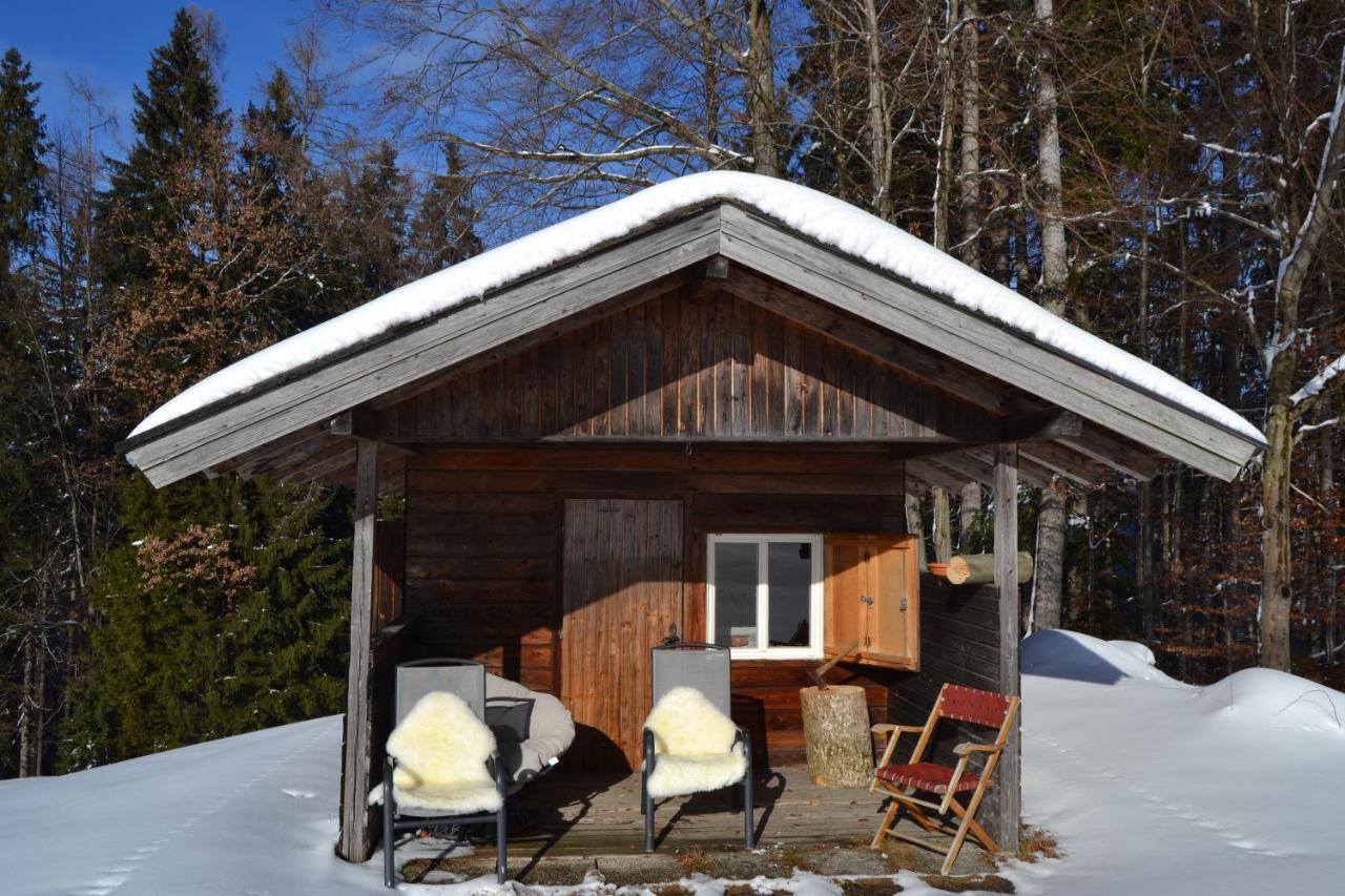 Vorderreithbauer Apartment Hof bei Salzburg Luaran gambar